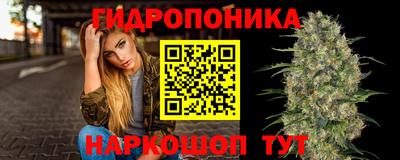 Альфа ПВП Севастополь