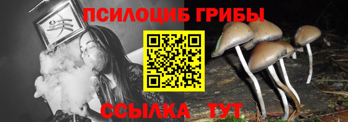 Галлюциногенные грибы мухоморы  Вход с VPN  Соль-Илецк  магазин    Псилоцибиновые грибы прущие грибы 